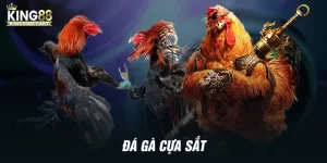 Đá gà cựa sắt