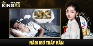 Nằm mơ thấy rắn