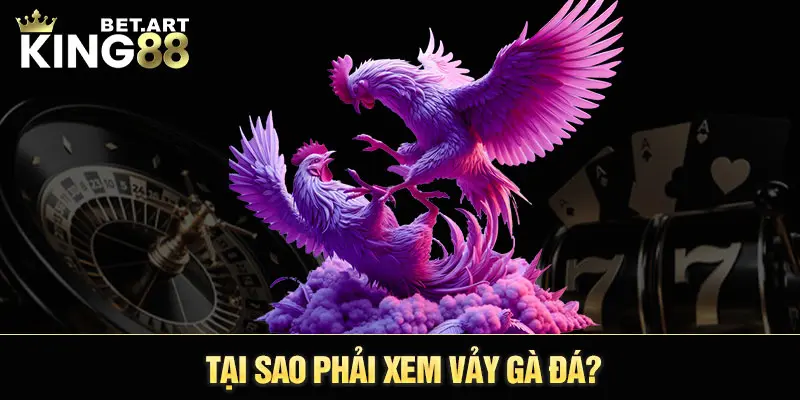 Tại sao phải xem vảy gà đá?